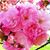 Heather Tripp Stephens's profile image