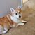 Chantal M Normandin's profile image