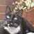 Kathy Hill's profile image