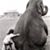 Amy Turnham Barker's profile image