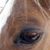 Darla Lynch Ooley's profile image