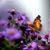 Linda Dains's profile image
