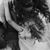 Lindsy Wallace's profile image