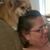 Deborah Stiesi's profile image
