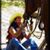 Donna Knight's profile image