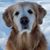 Nancy Murray's profile image