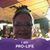 Wanda Hutchinson Primeaux's profile image