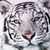 Patty Herbas Herbas's profile image