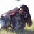 Kathy Le's profile image