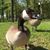 Wendy Craighead's profile image