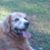 Joann Peele's profile image