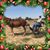 Jeannie Fowlston's profile image