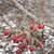 Dawn Pincumbe Light's profile image