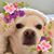 Robin Gebo Barrett's profile image