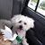 Timie Requierme's profile image