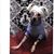 Maureen Faircloth's profile image