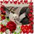 Susan Arrabito-Reilly's profile image