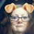 Penny Windsor's profile image