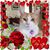 Priscila Trimble's profile image