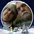 Nita Smith's profile image