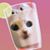 Brittany M Adams's profile image