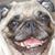 Selena Simonetti's profile image