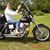 Susie Carrow Taylor's profile image