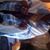David Johnson's profile image