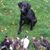 Cory Keel's profile image