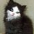 Catherine Humphrey Devinney's profile image