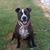 Penny OQuinn Broussard's profile image