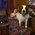 Amy Simmons's profile image