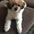 Zenia Grady's profile image