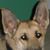 Geraldine Oostdyk's profile image