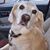 Pauline Kivach's profile image
