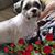Jessica Haddon's profile image