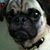 Jacquelynn Wendeler's profile image