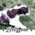 Kat Patterson-Firat's profile image