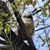 Rhonda Hunter's profile image