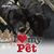 Janice Pitt Dumont's profile image