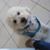 Catherine Hoang's profile image