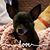 Pamela Pennington Sherry's profile image