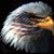 Sue Poppert's profile image