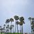 Daniel Casado's profile image