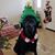 Pat Walfoort's profile image