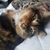 Serena Daniel Hager's profile image