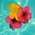 Beth Anderson's profile image