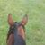 Stephanie Hassler Jeffers's profile image