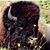 Scott Berridge's profile image