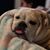 Alicia Gwartney Cornstubble's profile image